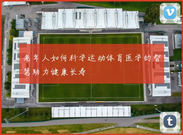 老年人如何科学运动体育医学的智慧助力健康长寿