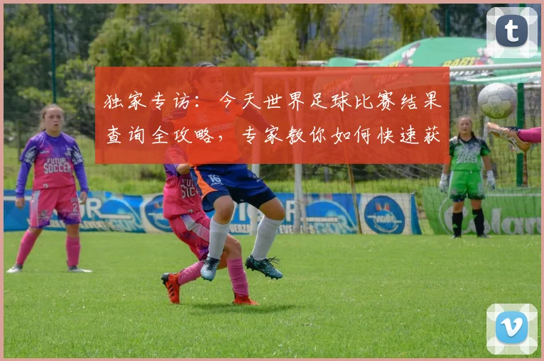 独家专访：今天世界足球比赛结果查询全攻略，专家教你如何快速获取赛况